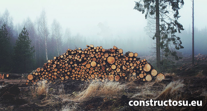 Lemn de foc, pus la uscat în pădure
