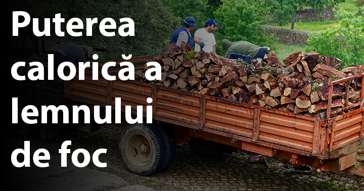 Puterea calorică a lemnului de foc