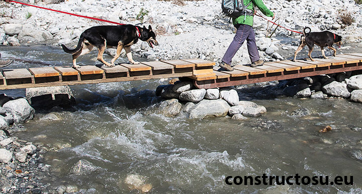 Trecere din lemn peste un râu